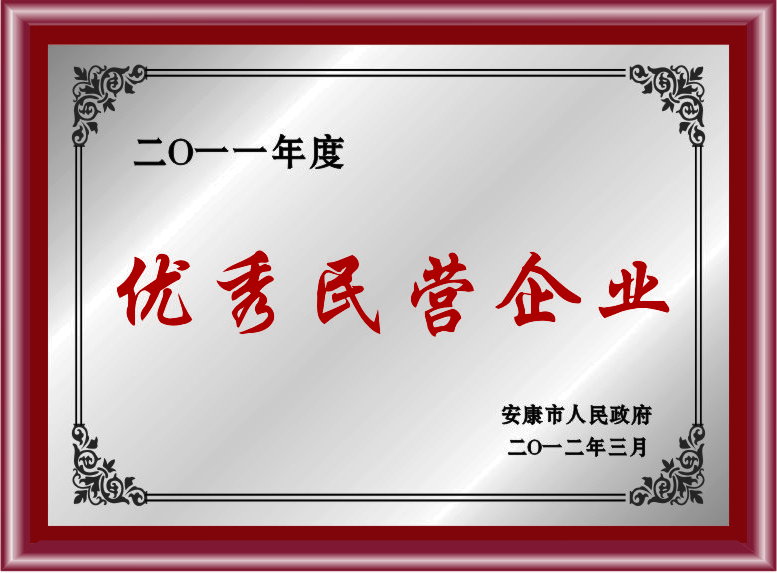 優(yōu)秀民營(yíng)企業(yè)